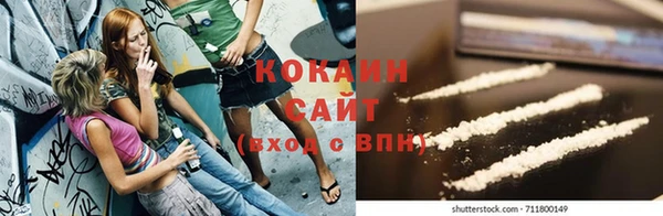 прущие грибы Вязьма