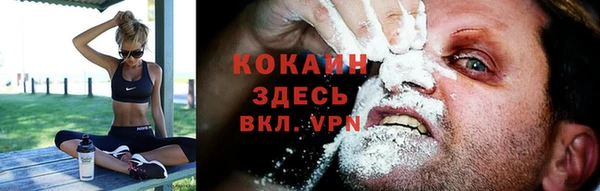 тгк Вяземский
