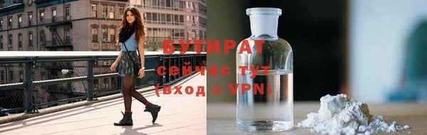 прущие грибы Вязьма