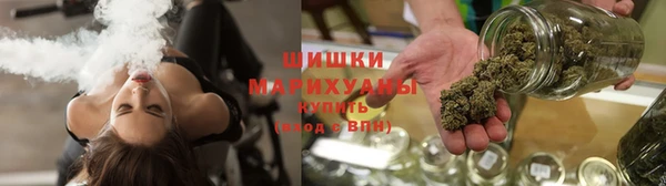 прущие грибы Вязьма