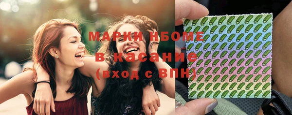 прущие грибы Вязьма