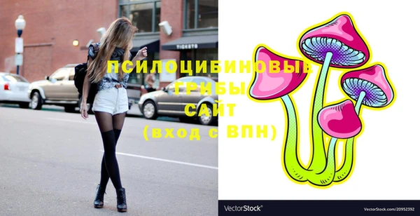 тгк Вязники