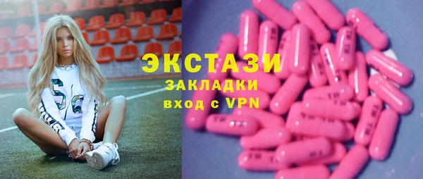 прущие грибы Вязьма
